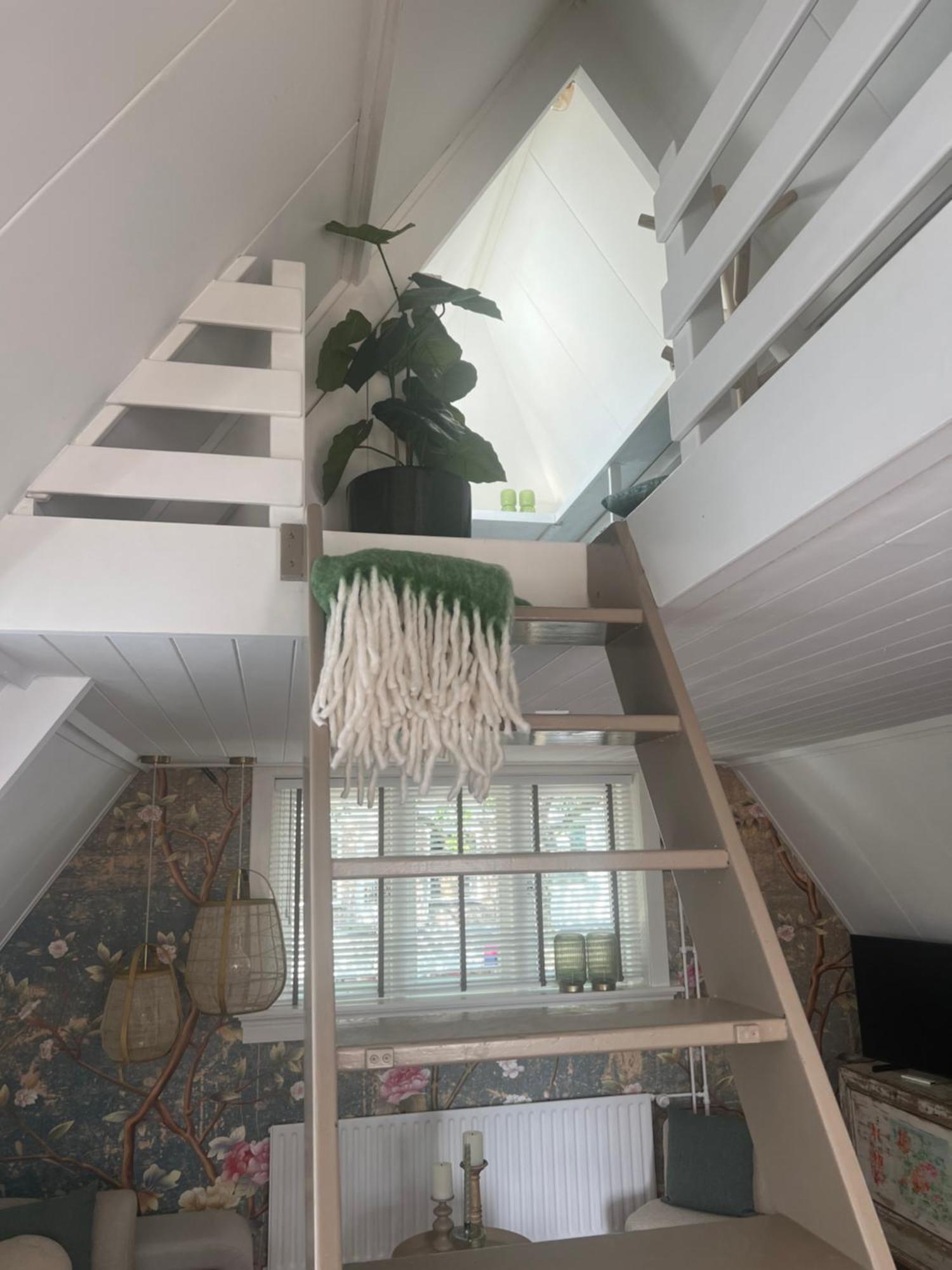 Apartament Hartje Bergen Zewnętrze zdjęcie