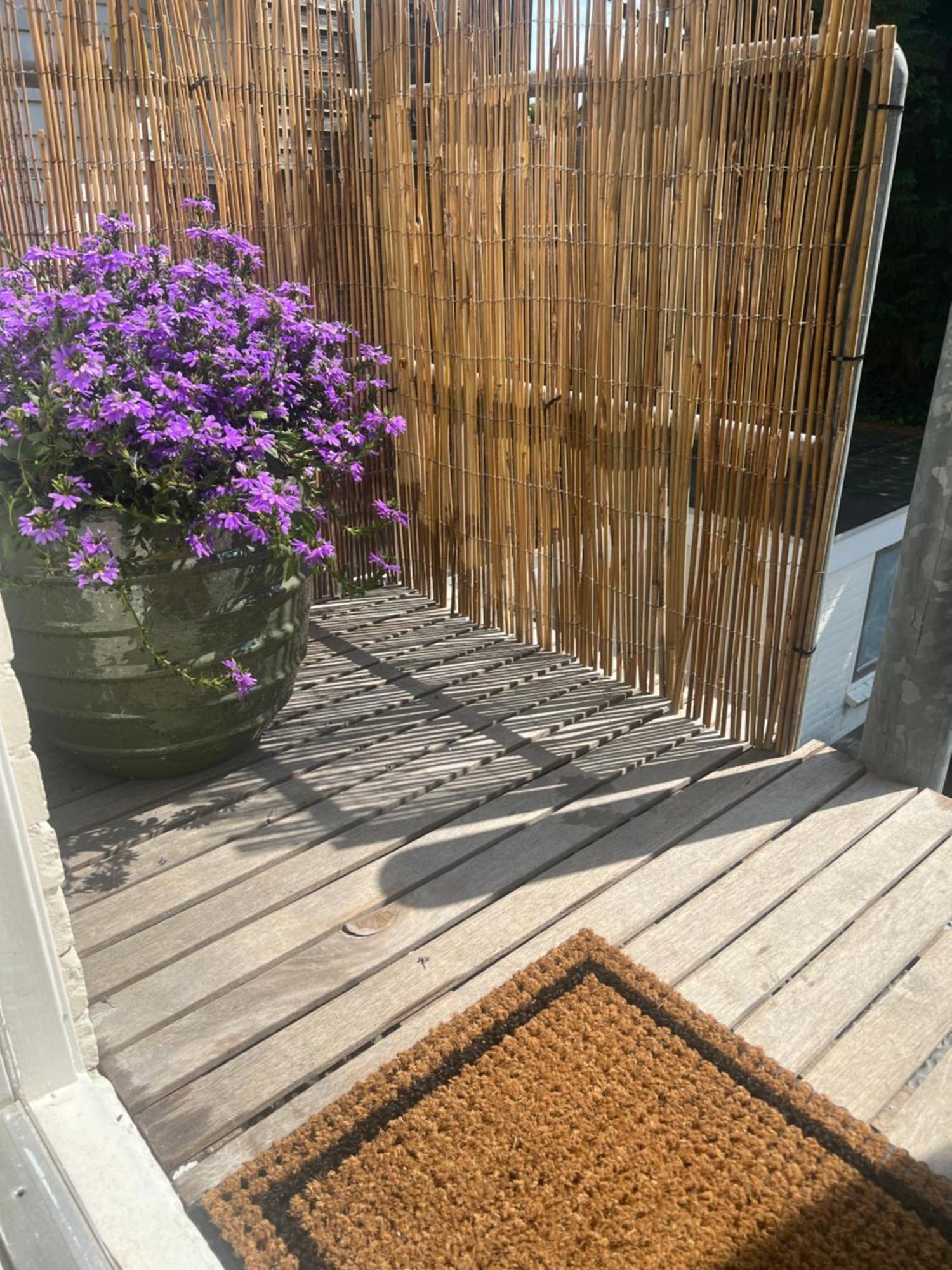 Apartament Hartje Bergen Zewnętrze zdjęcie